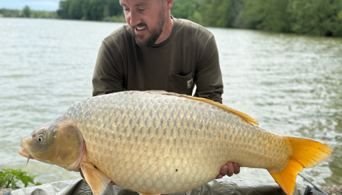 A carp from Jonchery, May 2026