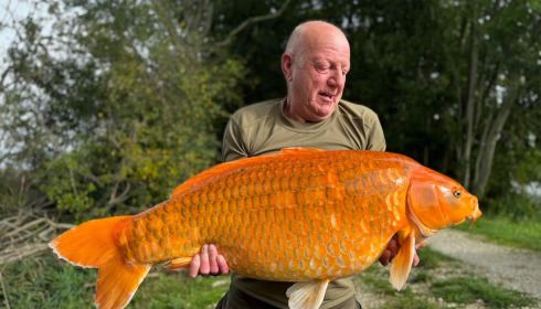 A carp from Jonchery, Sep 2025