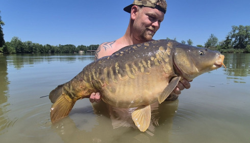 A carp from Jonchery, May 2026