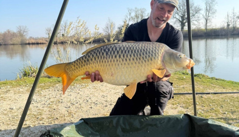 A carp from Jonchery, Mar 2026
