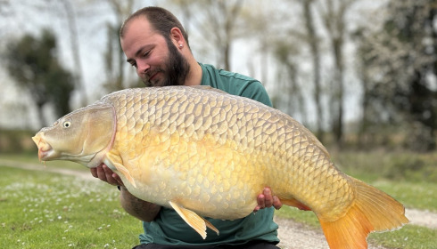 A carp from Jonchery, Apr 2026