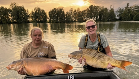 A carp from Jonchery, Aug 2026