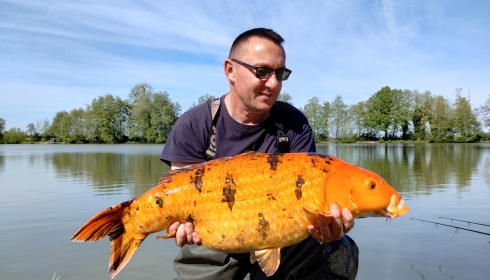 A 23 lb 4 oz carp from Jonchery, Koi, Apr 2026