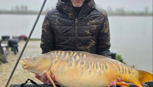 A carp from Jonchery, Mar 2026