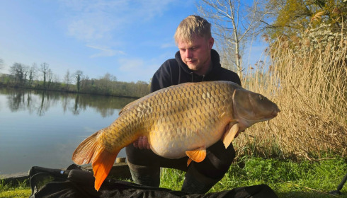 A carp from Jonchery, Apr 2026