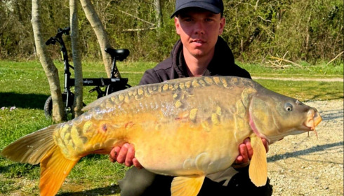 A carp from Jonchery, Mar 2026