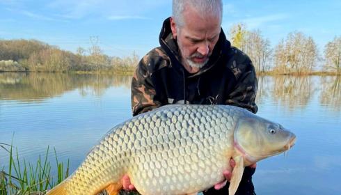 A carp from Jonchery, Mar 2026