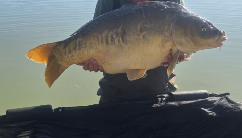 A 42 lb 8 oz carp from Jonchery, 42lb.8oz mirror, Sep 2026