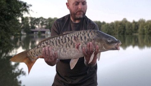 A carp from Jonchery, Jul 2026