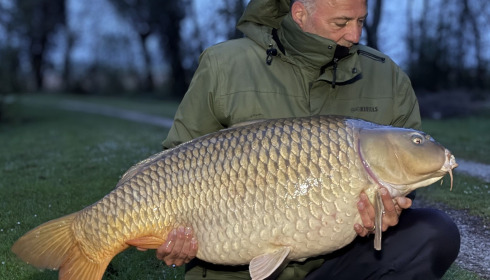 A carp from Jonchery, Apr 2026