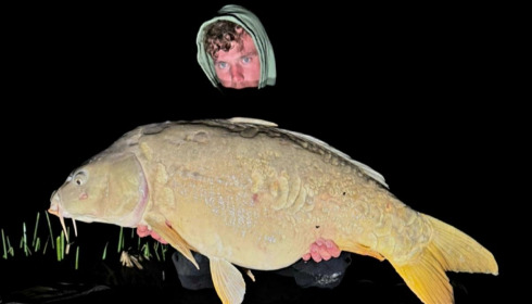 A carp from Jonchery, Mar 2026