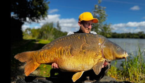 A carp from Jonchery, Sep 2025