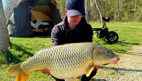 A carp from Jonchery, Mar 2026