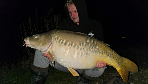 A carp from Jonchery, Apr 2026
