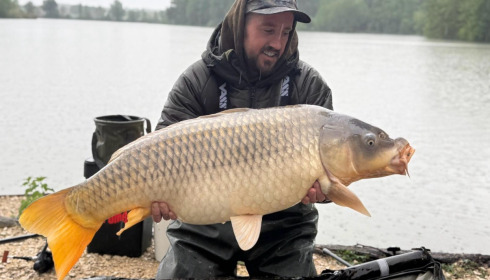 A carp from Jonchery, May 2026