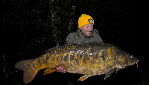 A carp from Jonchery, Sep 2025