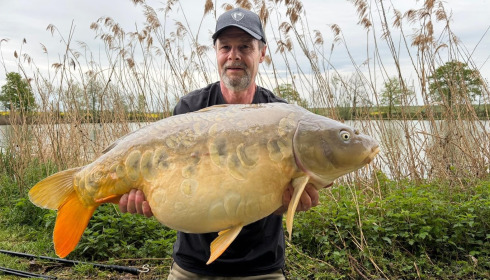 A carp from Jonchery, Apr 2026