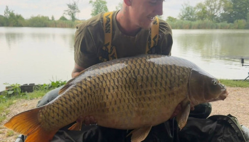 A carp from Jonchery, Jul 2026