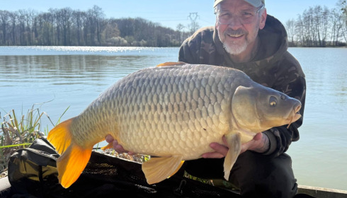 A carp from Jonchery, Mar 2026