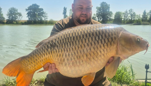 A carp from Jonchery, Jul 2026