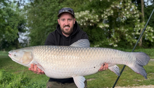 A carp from Jonchery, May 2026