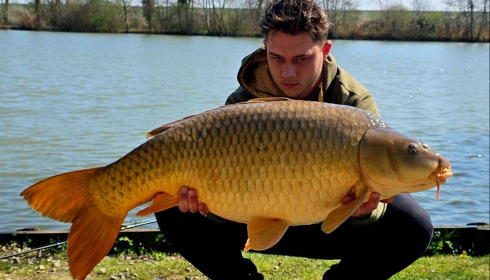 A carp from Jonchery, Mar 2026