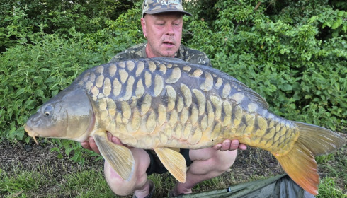 A carp from Jonchery, May 2026