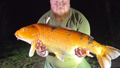 A carp from Jonchery, Mar 2026