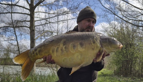 A carp from Jonchery, Apr 2026