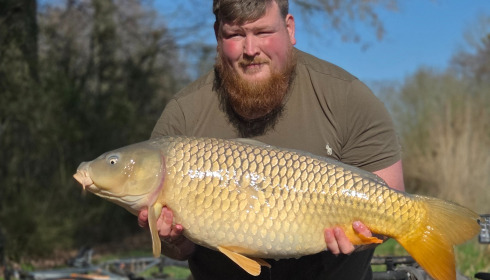 A carp from Jonchery, Mar 2026