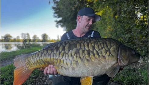A carp from Jonchery, Sep 2025