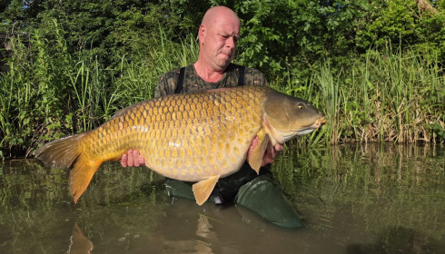 A carp from Jonchery, May 2026