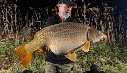 A carp from Jonchery, Apr 2026