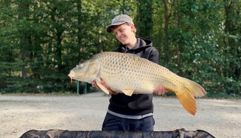 A carp from Brocard Small, Sep 2026