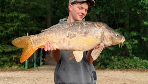 A carp from Brocard Small, Sep 2026