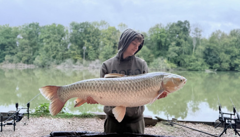 A carp from Brocard Small, Sep 2026