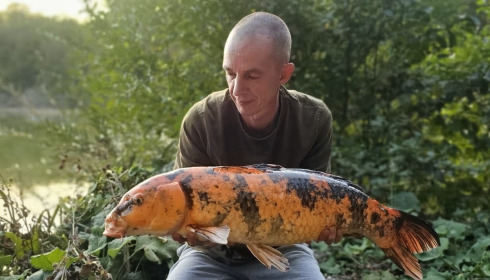 A carp from Brocard Small, Sep 2026