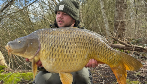 A carp from Brocard Large, Mar 2026