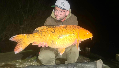 A carp from Brocard Large, Apr 2026