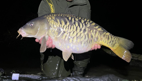 A 30 lb carp from Brocard Large, Fully scaled, Mar 2026