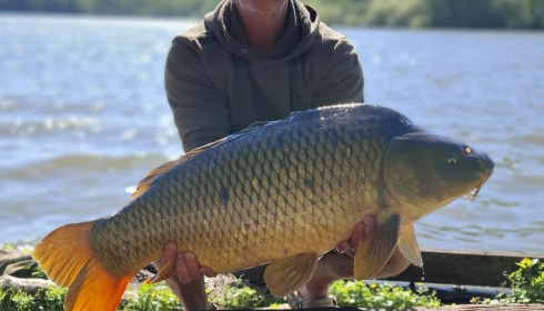 A carp from Brocard Large, Apr 2026