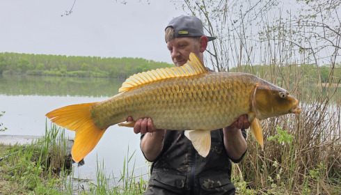 A carp from Brocard Large, Apr 2026