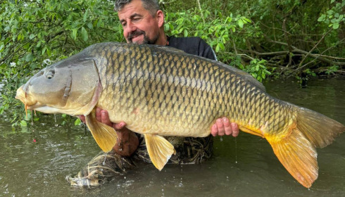 A carp from Brocard Large, May 2026