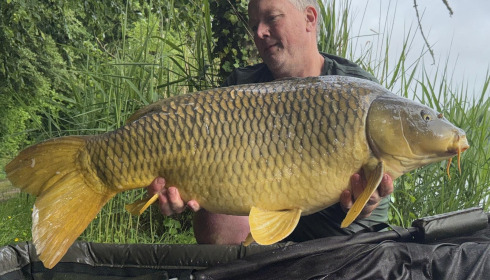 A carp from Brocard Large, May 2026
