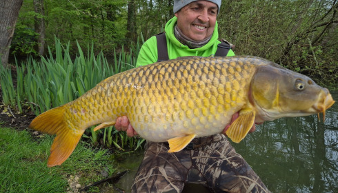 A carp from Brocard Large, Apr 2026