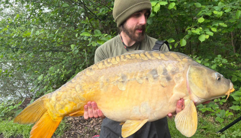 A carp from Brocard Large, May 2026