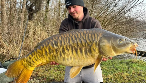 A carp from Brocard Large, Mar 2026