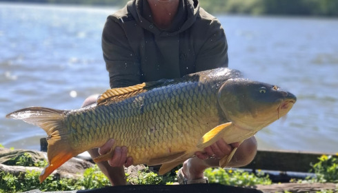 A carp from Brocard Large, Apr 2026