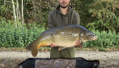 A carp from Brocard Large, Aug 2026