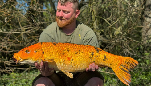 A carp from Brocard Large, Apr 2026